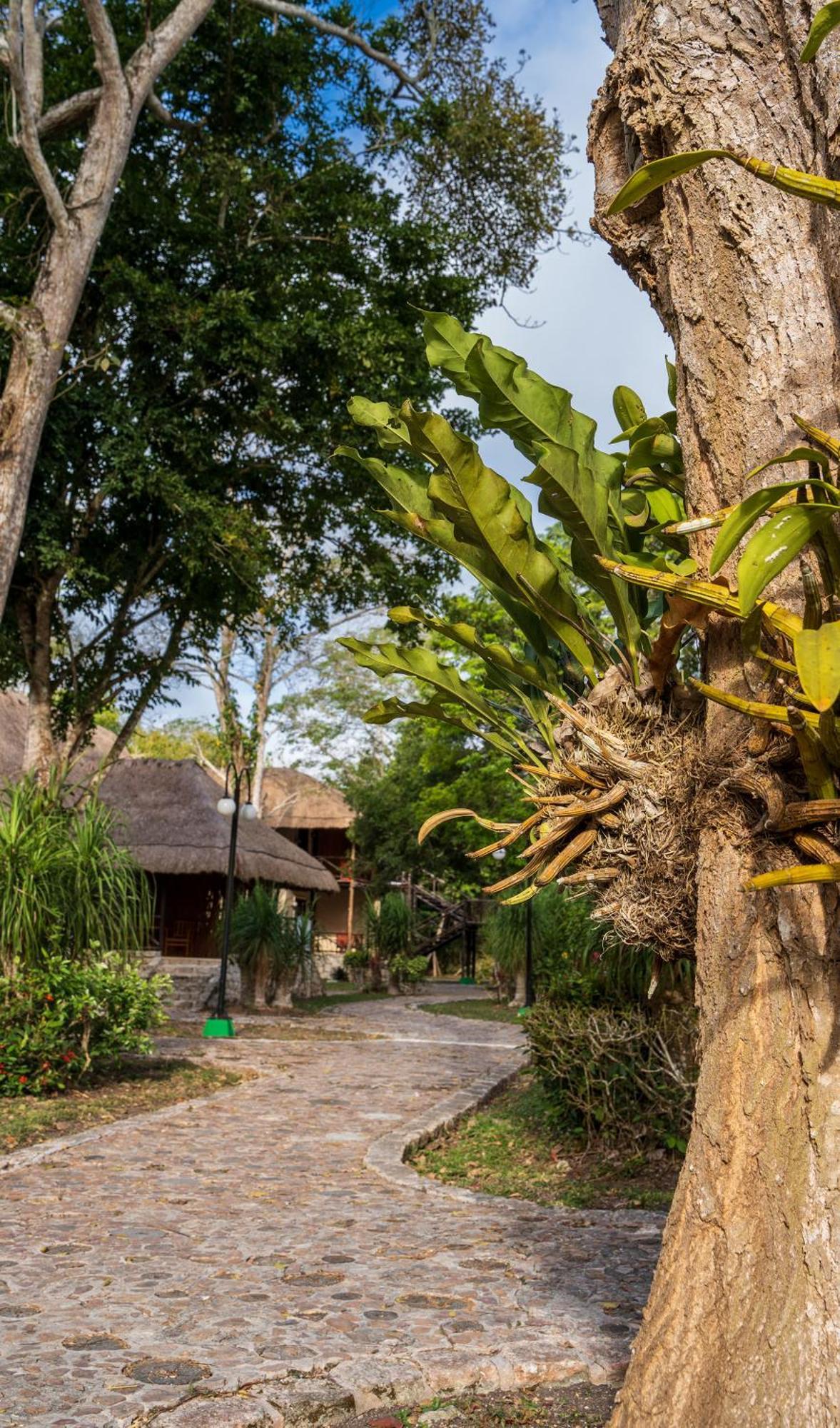 Hotel Villas Chicanna Luaran gambar